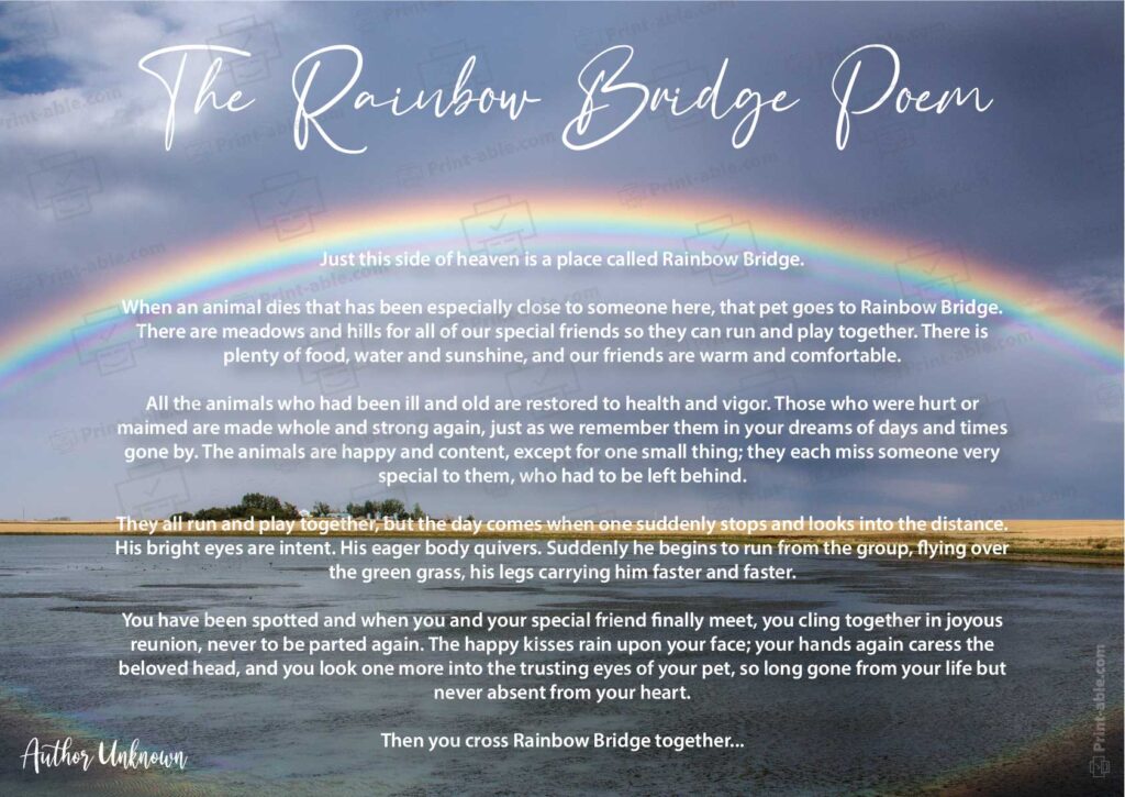 Rainbow Bridge Poem Printable