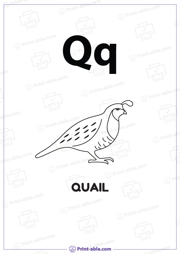 Letter Q Printable Free Download