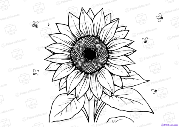 Sunflower Coloring Page