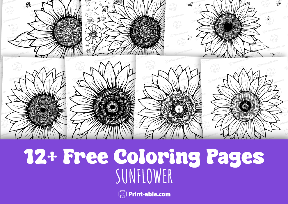 best sunflower coloring page free download